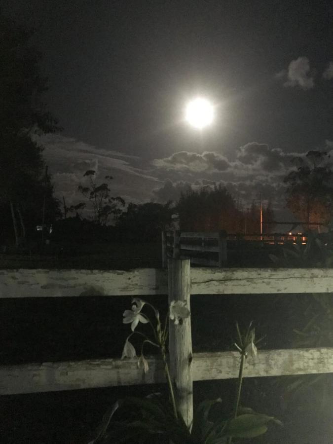 Haras Trevo De Ferro, Praia, Piscina E Campo 托雷斯 外观 照片